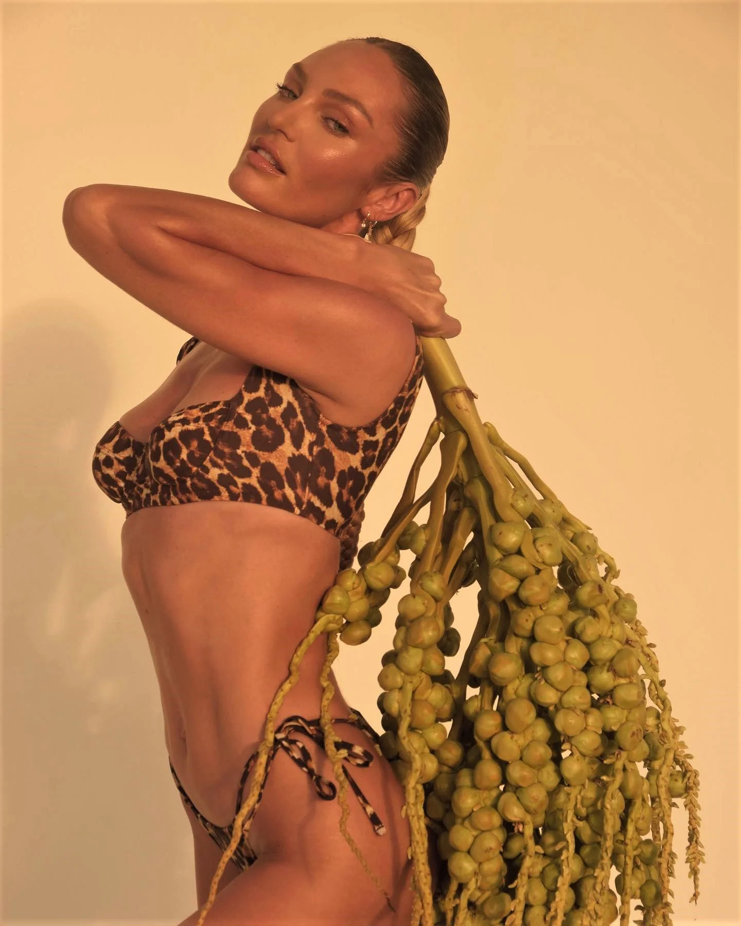 Tropic of online c swimwear